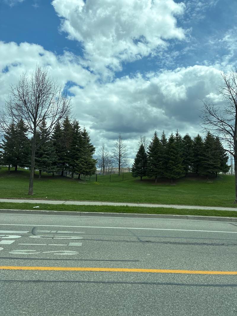 walking near me in Matthew Park in spring