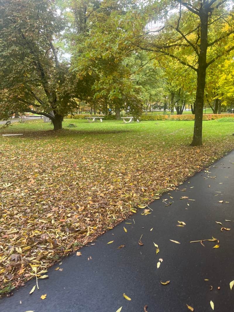 walking near me in Lembitu park in autumn
