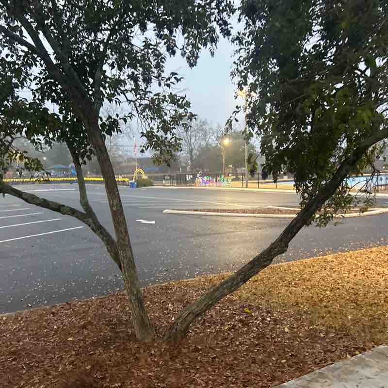 JRB89 Roll Tide post 1