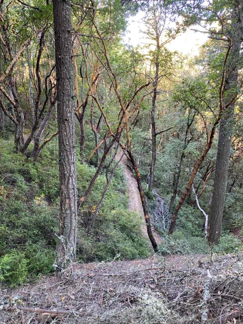walking near me in El Corte de Madera Creek Open Space Preserve in autumn