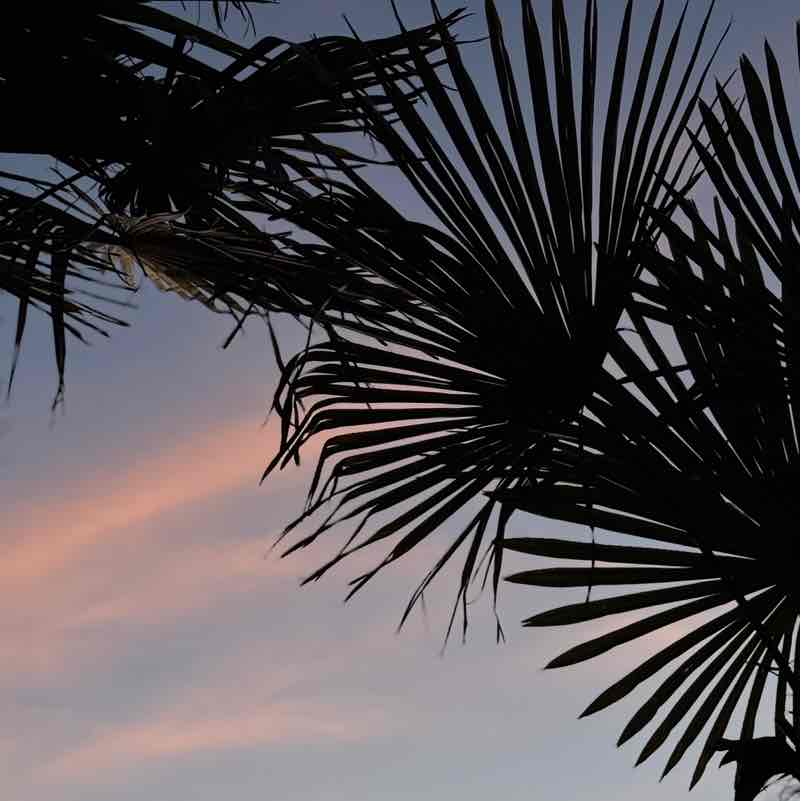 Сочифорния Instagram: dasha.blumm post image