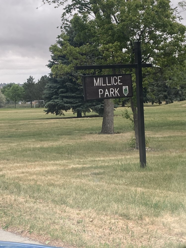 walking near me in Millice Park in summer
