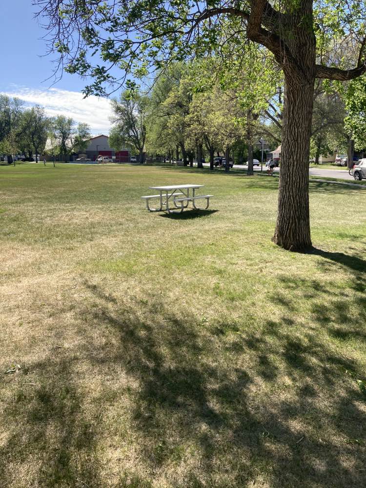 walking near me in Terry Park in spring