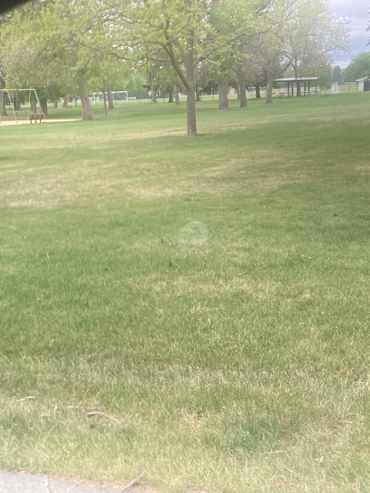 walking near me in Veterans Park in summer