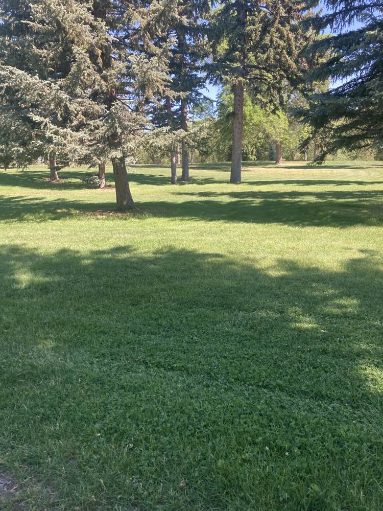 walking near me in Pioneer Park in summer
