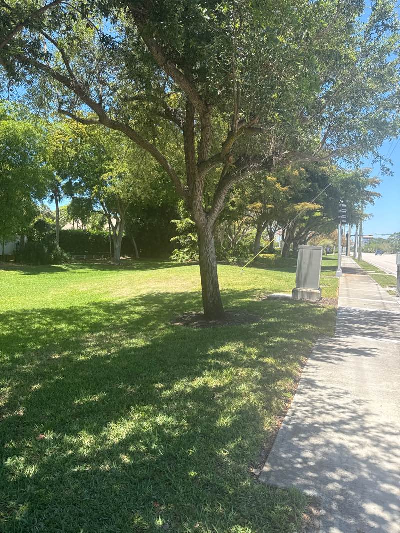 walking near me in Goodlette Frank Linear Park in spring