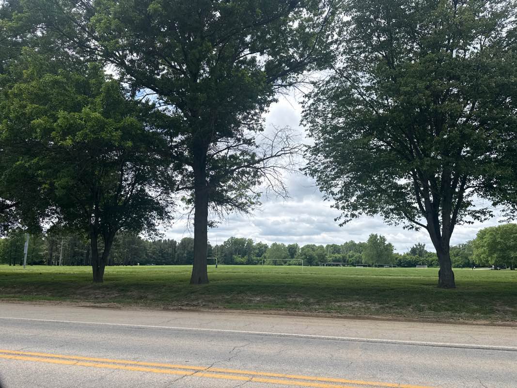 walking near me in Meadow East Park in summer