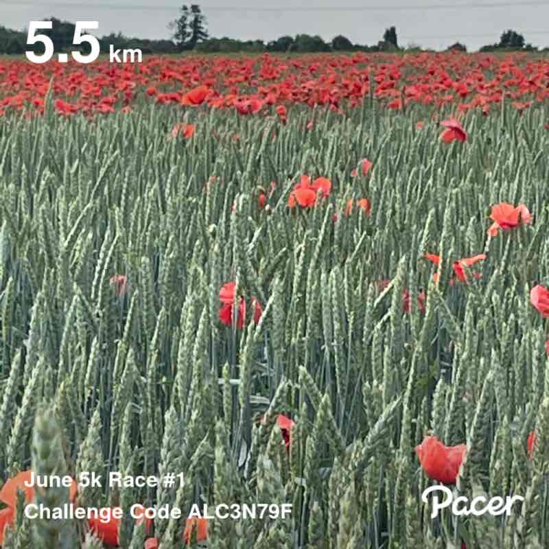 RiccardoRR post 1