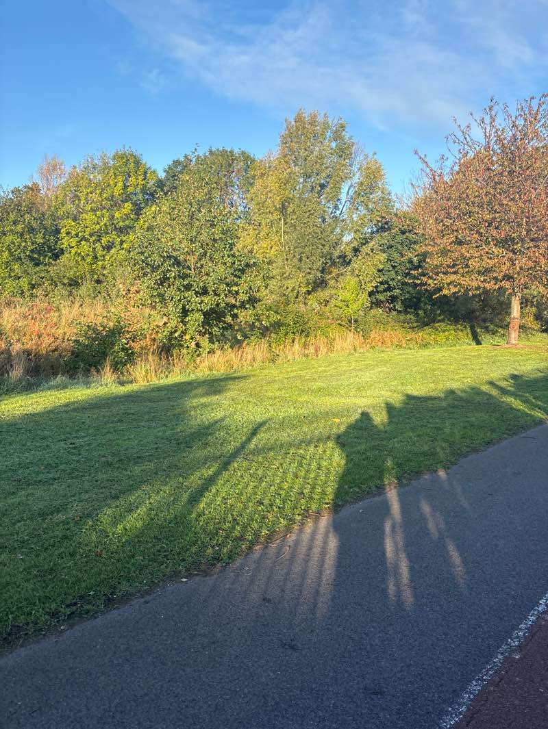 walking near me in Middlebeck (Millennium Green) in autumn
