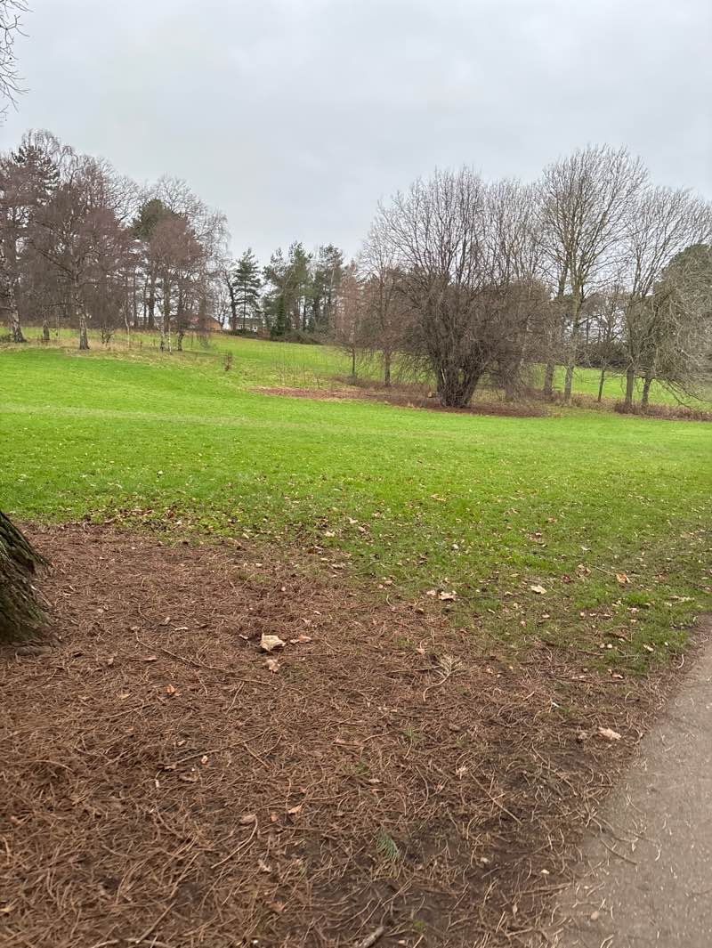 walking near me in Stewart Park in winter