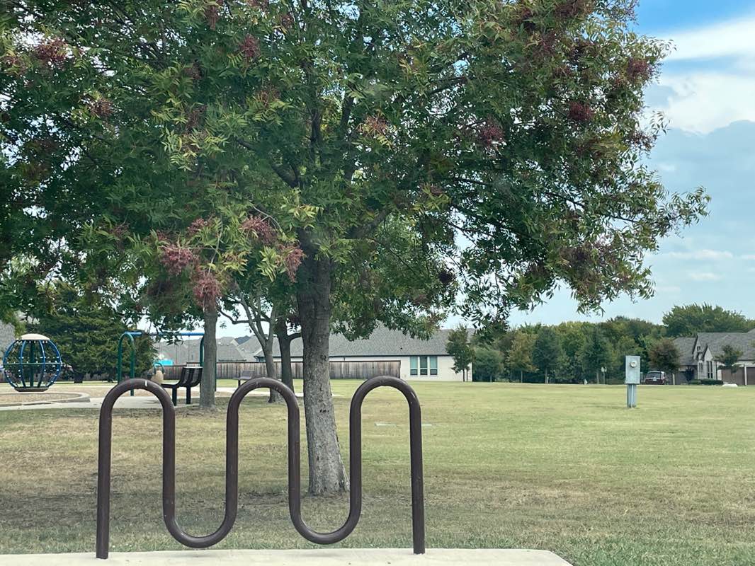 walking near me in Travis Farm Neighborhood Park in autumn