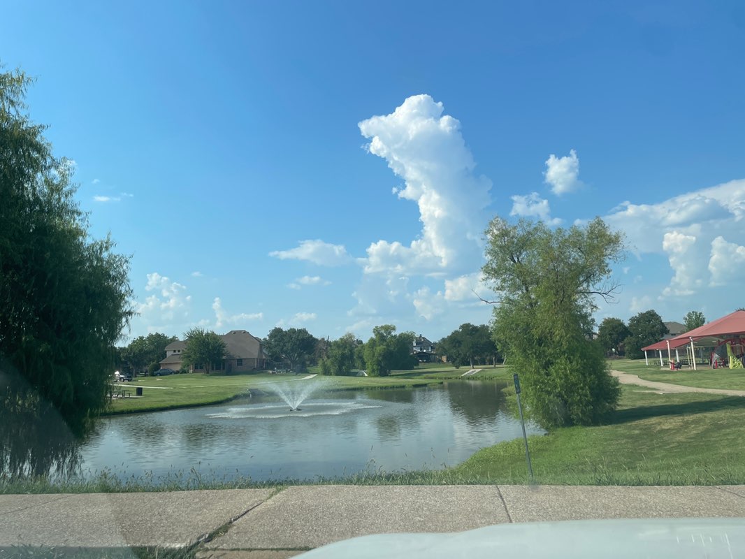 walking near me in Stone Park in autumn
