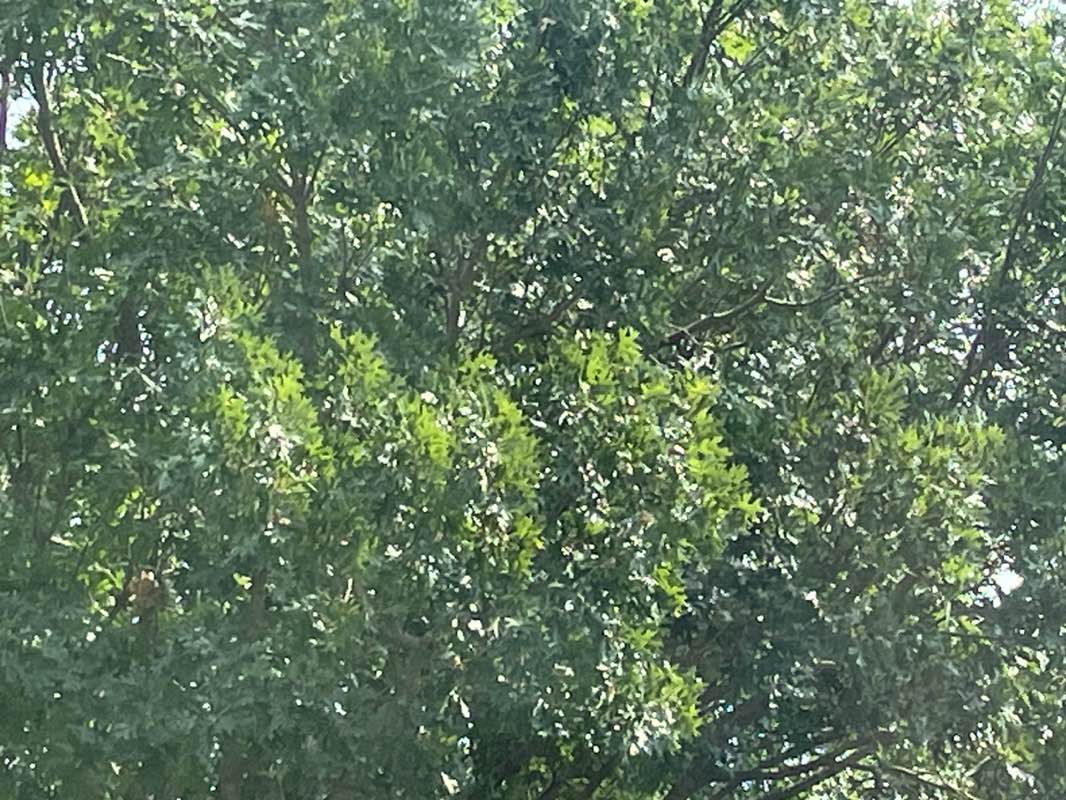 walking near me in Spring Creek Nature Area in autumn