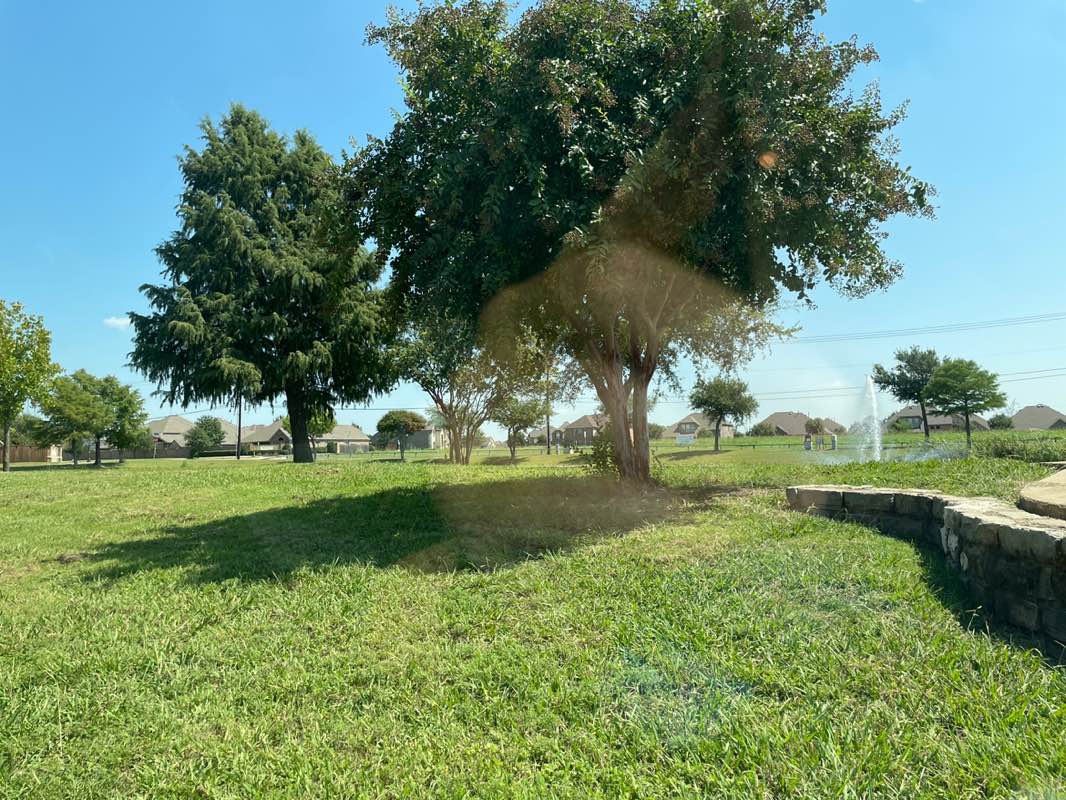 walking near me in Dave Sanford Park in autumn