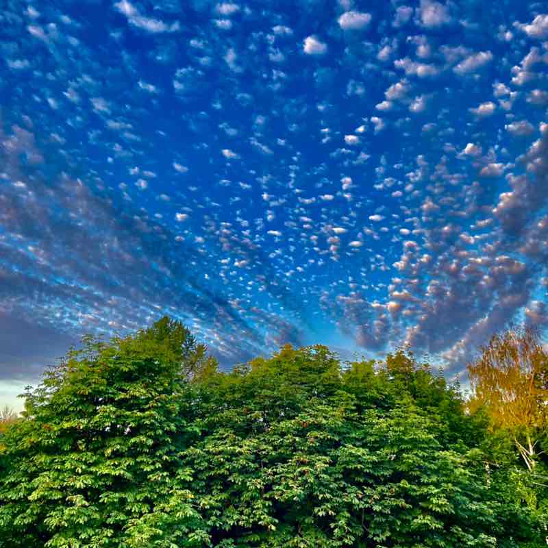 Добро🥷🔥 post 2