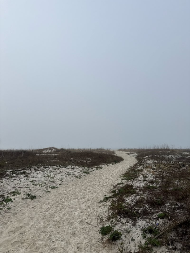 walking near me in Fort Gaines in spring