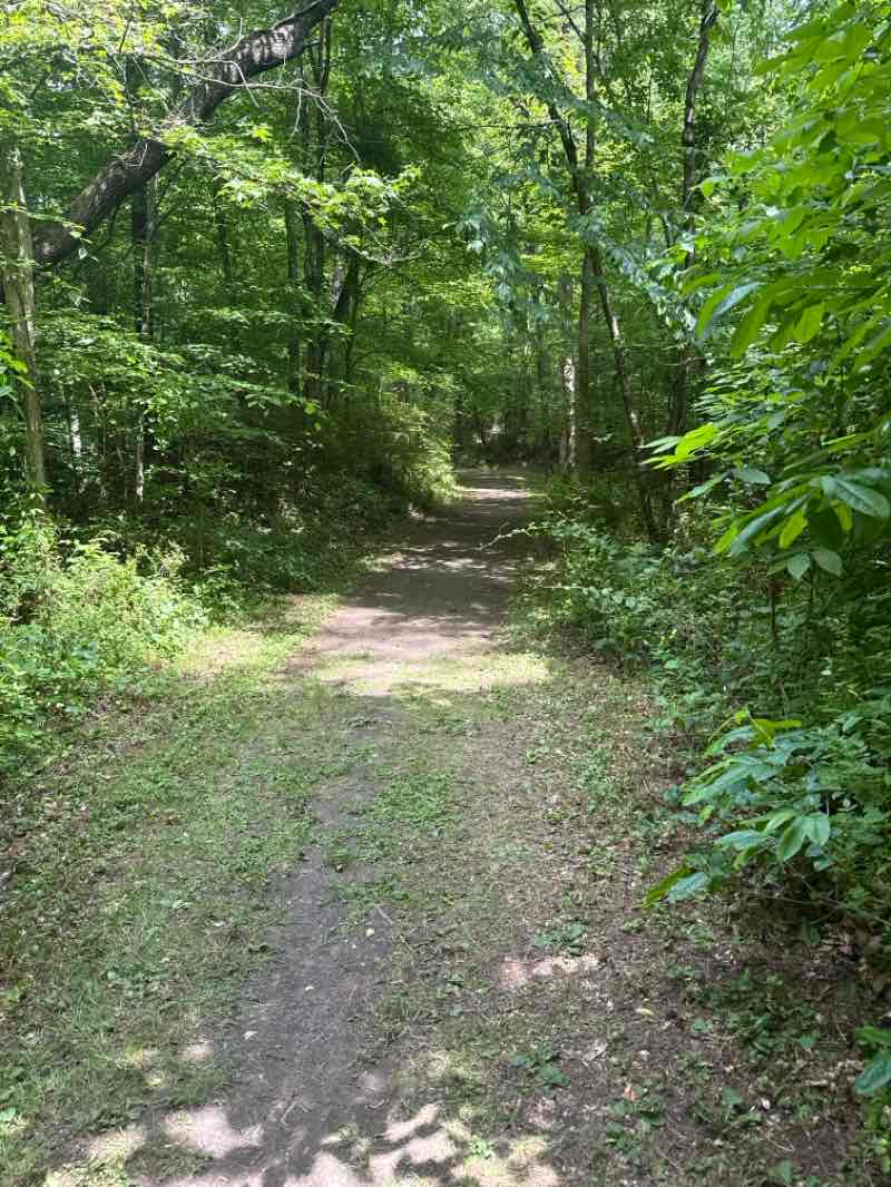 walking near me in Indian Mountain in spring