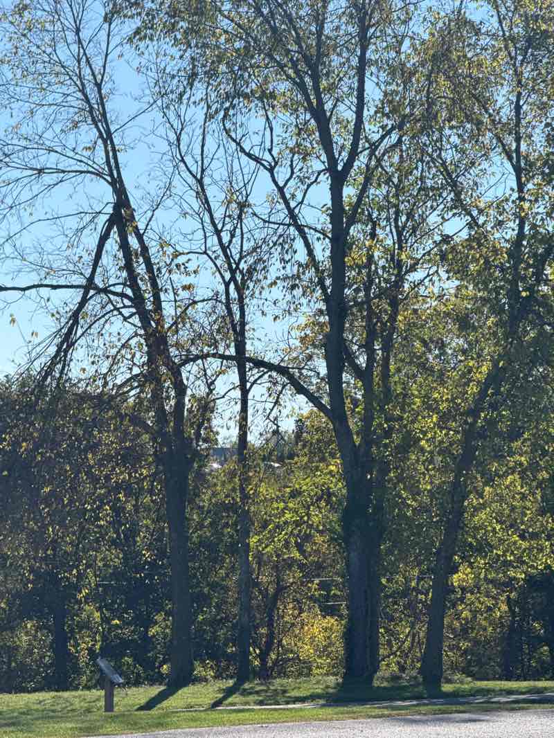 walking near me in Anderson County Community Park in autumn