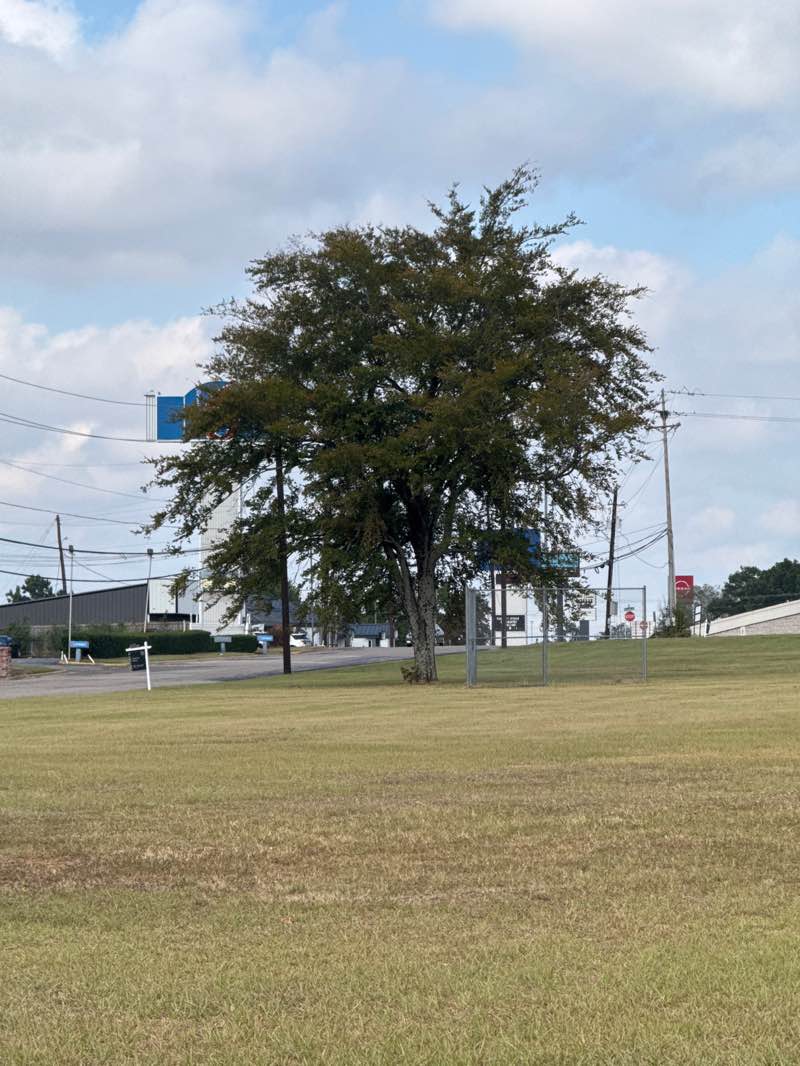 walking near me in Church Park in autumn
