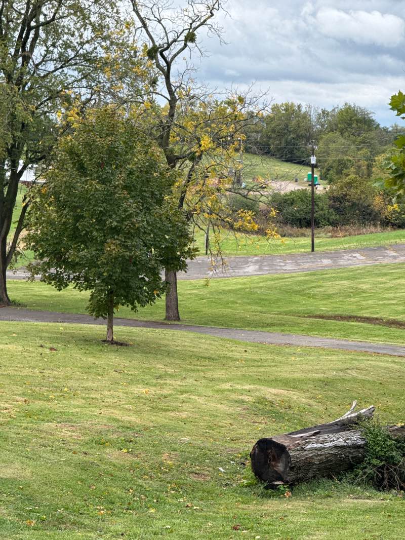 walking near me in Young Park in autumn