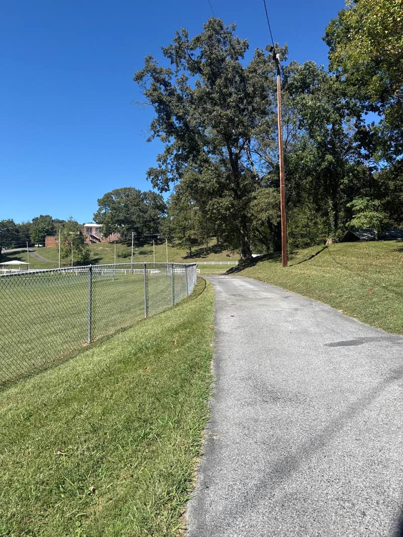 walking near me in Chestnut Hill Park in autumn