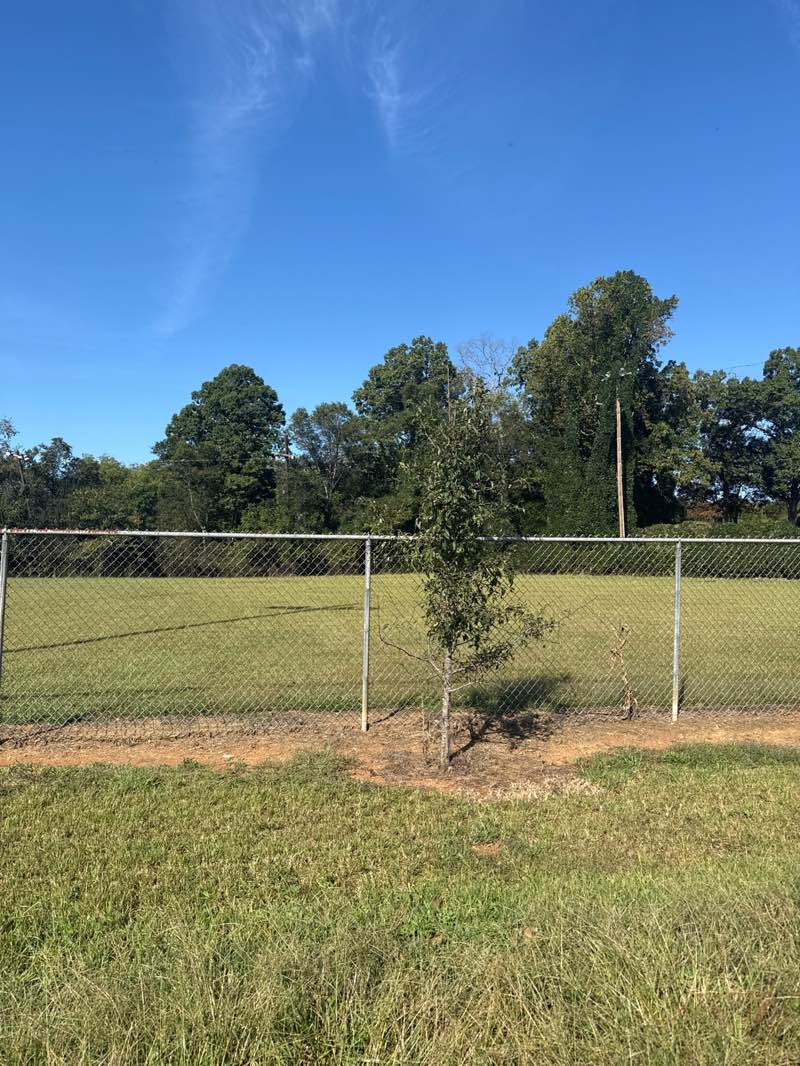 walking near me in Thorn Grove Community Park in autumn