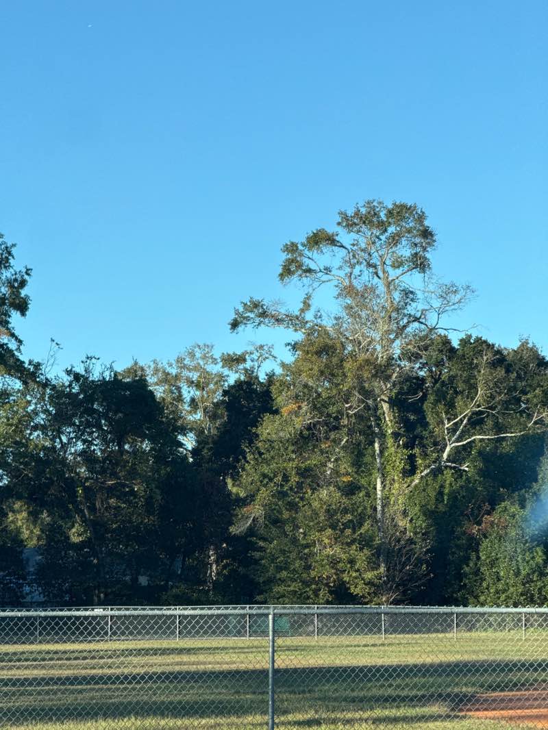 walking near me in Theodore Park in autumn