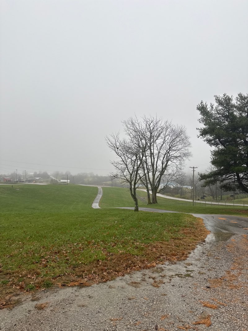 walking near me in Owen County Park in autumn