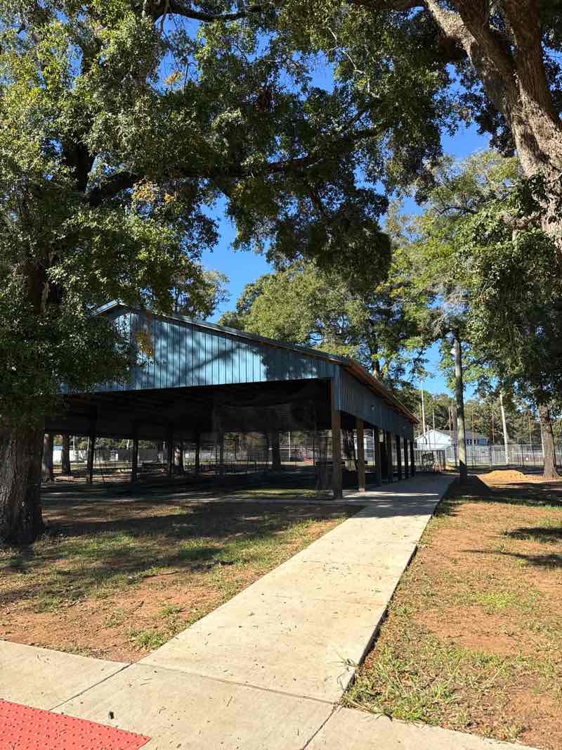 walking near me in Westside Ballpark in autumn
