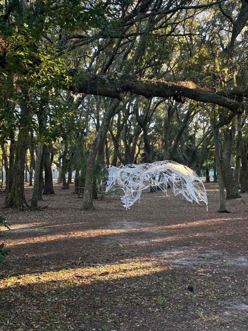 walking near me in Green Park in autumn