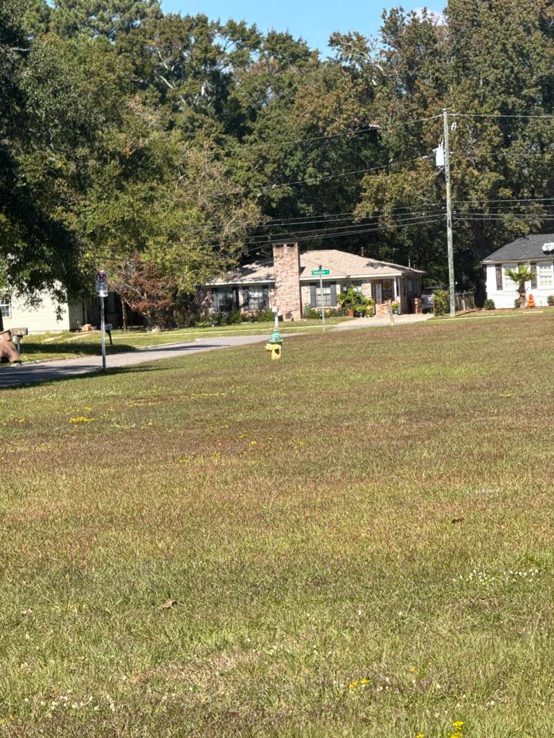 walking near me in Primrose Park in autumn