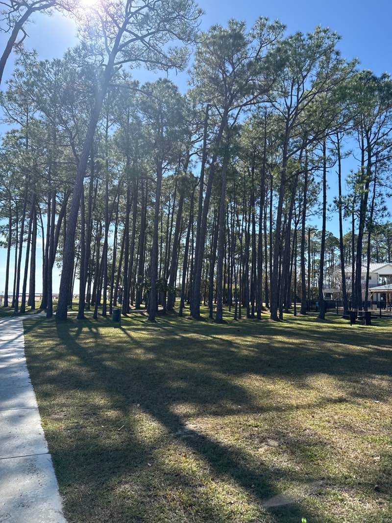 walking near me in Bayfront Park in autumn