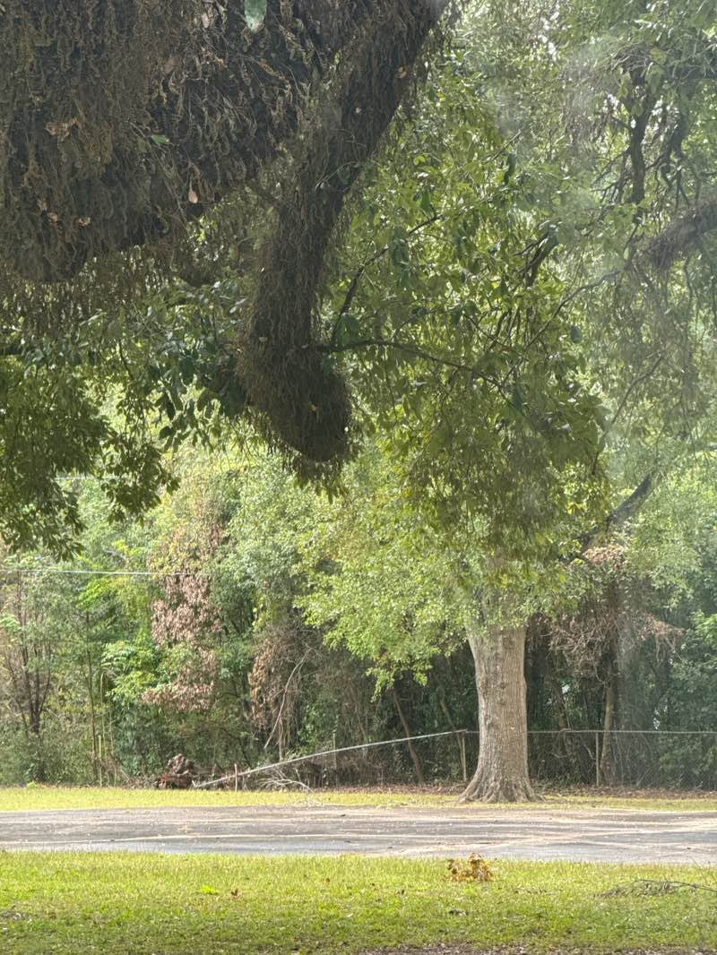 walking near me in Rich Park in autumn