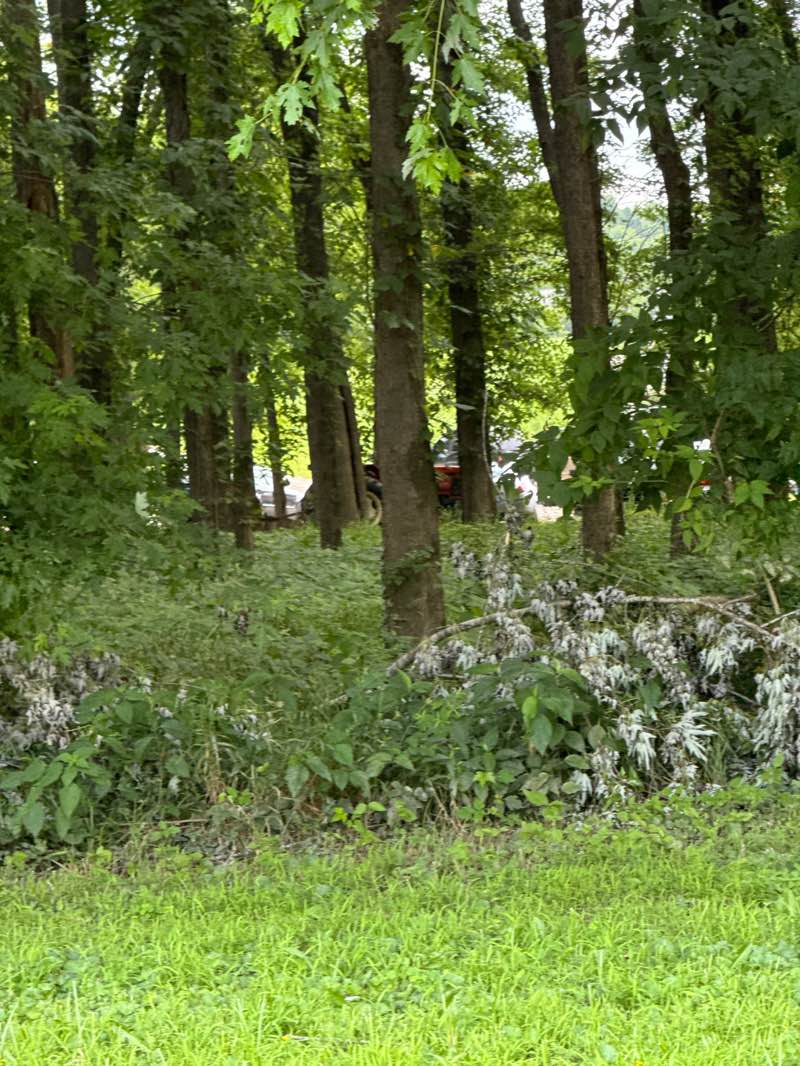walking near me in Benson Creek Boat Ramp and Public Use Area in summer