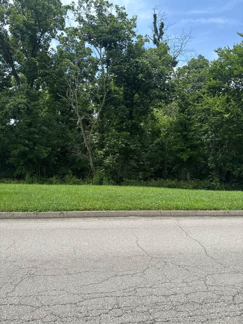 walking near me in Liberty Park in summer