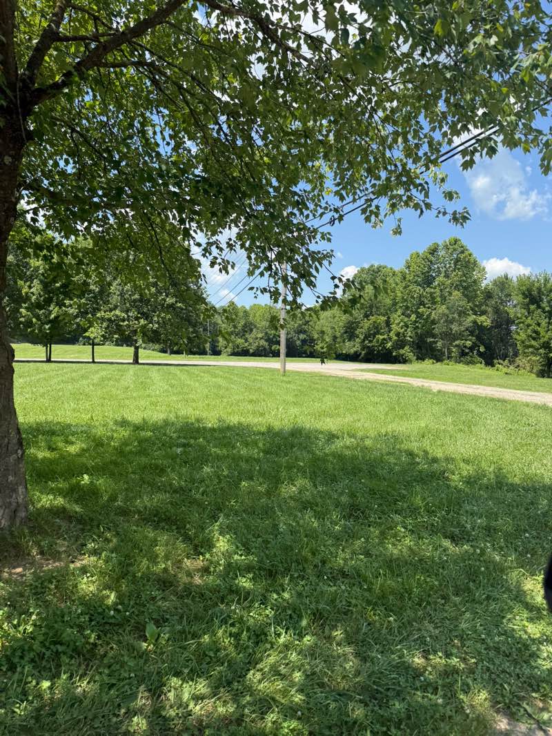 walking near me in Old Lawrenceburg Road Boat Ramp and Public Use Area in summer