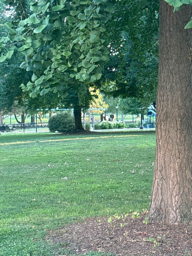 walking near me in West Side Park in summer