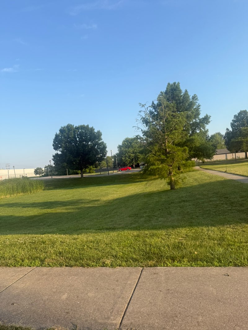 walking near me in Town Center Park in summer