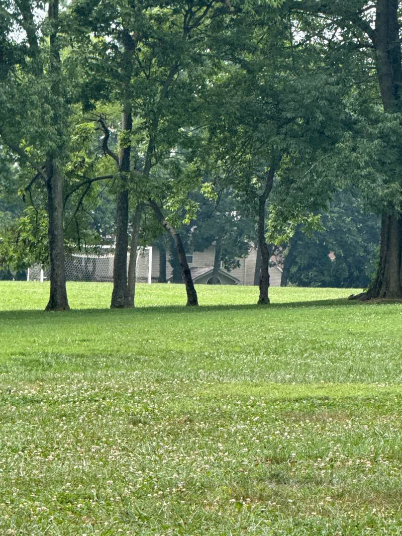 walking near me in Pleasant Ridge Park in autumn