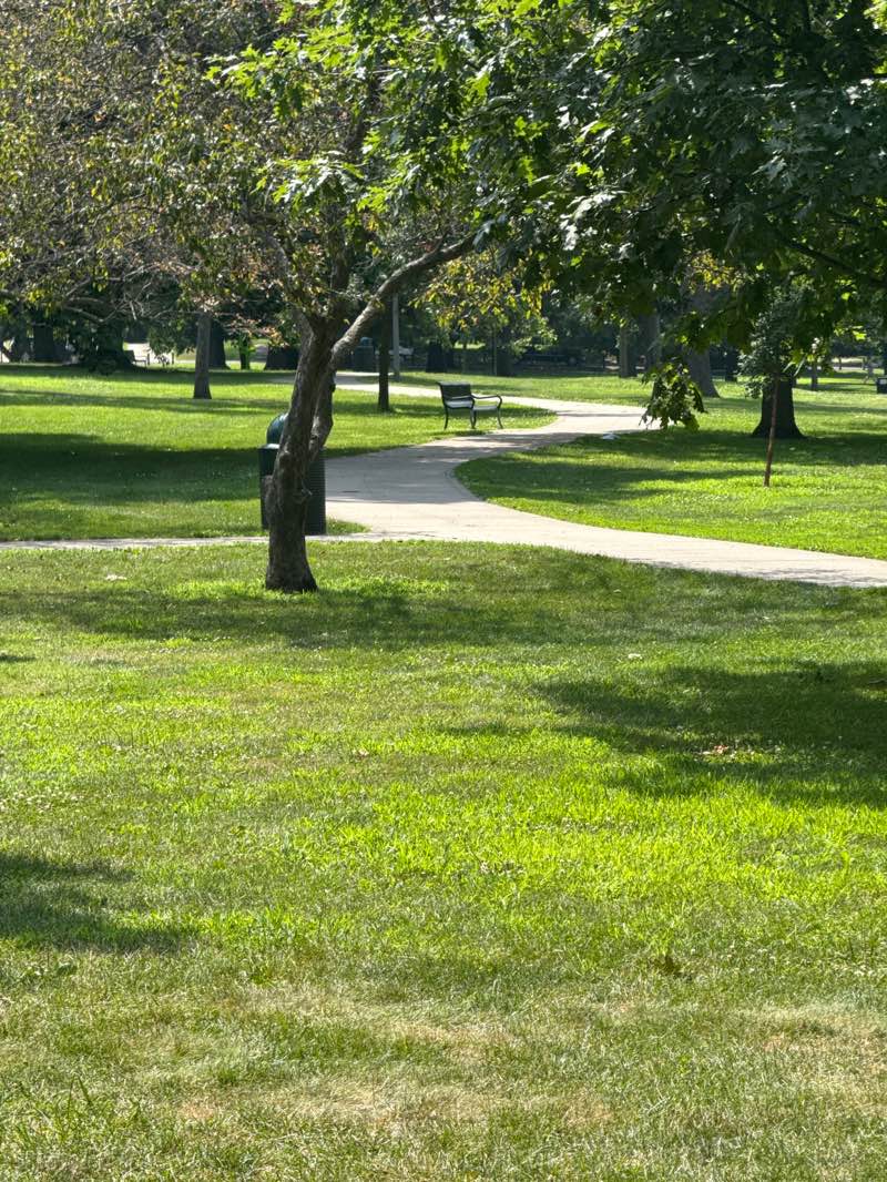 walking near me in Hessel Park in summer