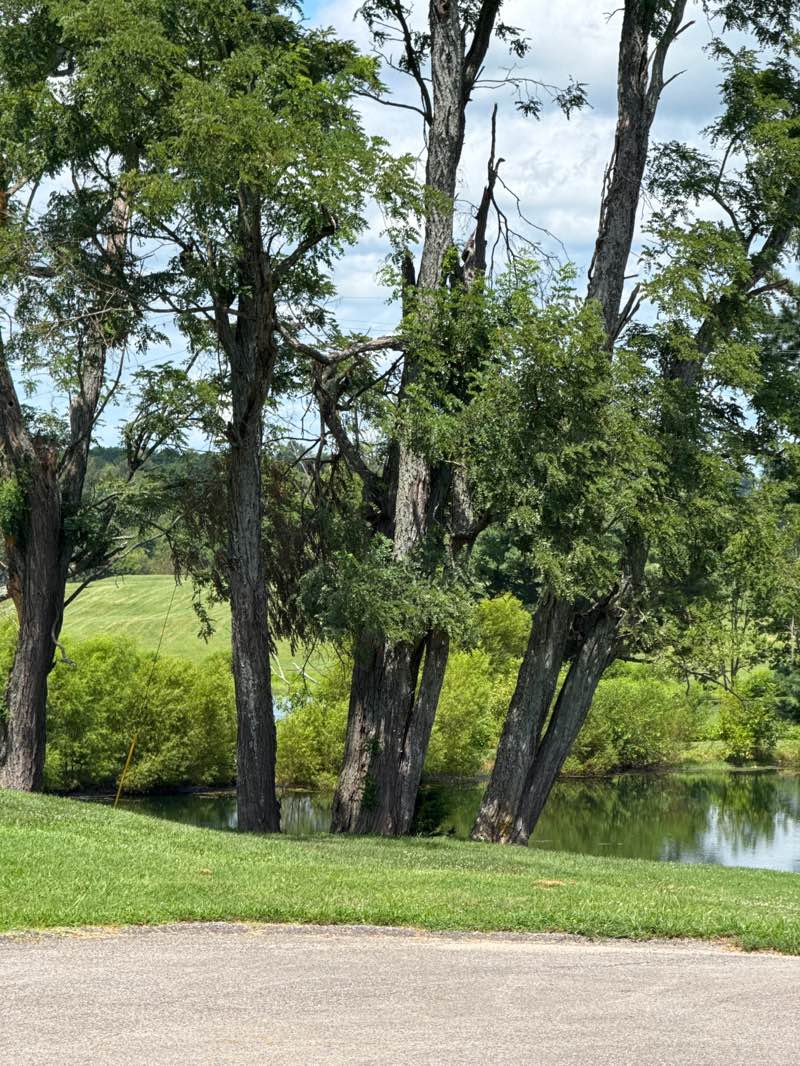 walking near me in Lincoln Homestead State Park in autumn