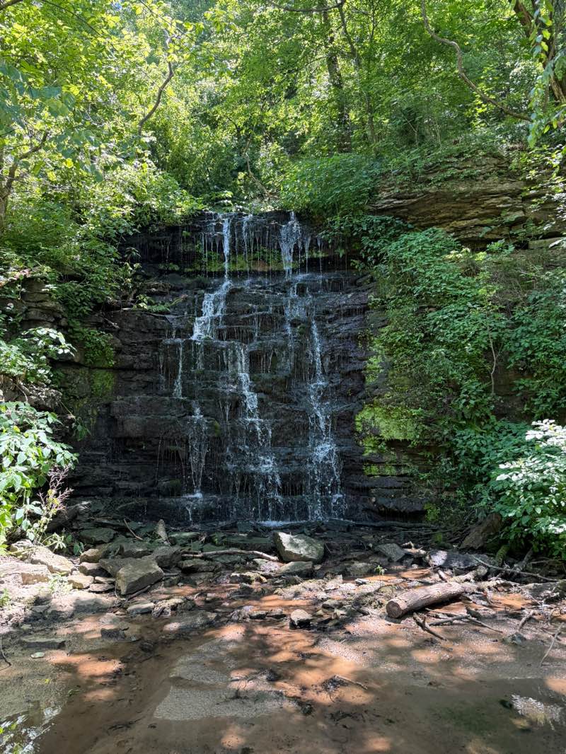 walking near me in Cove Spring Park in summer