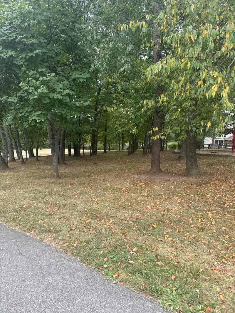 walking near me in Southpoint Park in autumn