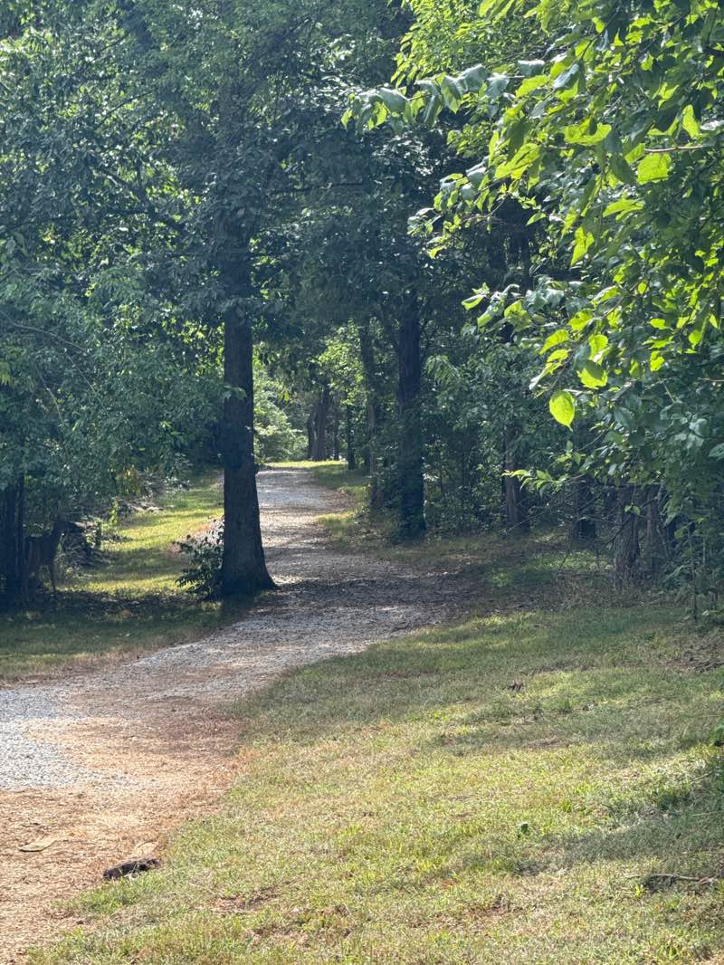 walking near me in Fort Hill Civil War Park in autumn
