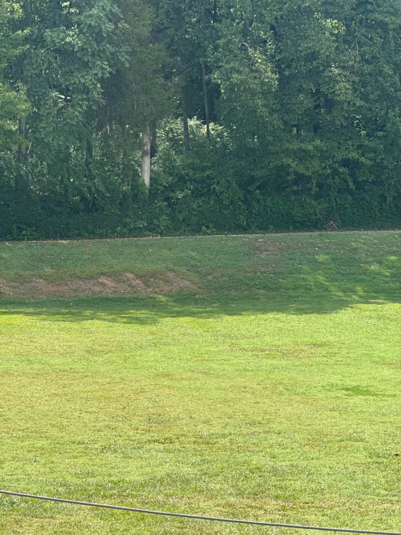 walking near me in Citizens Horseshoe Park in autumn