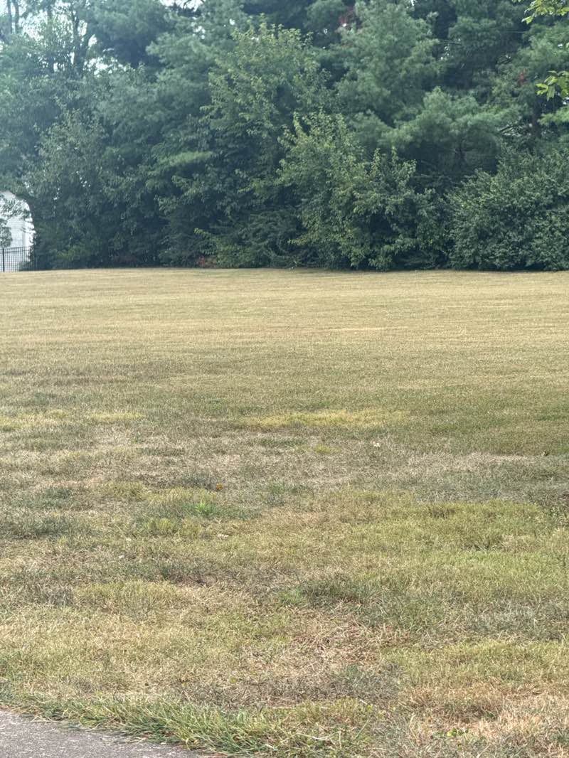 walking near me in Stonegate Park in autumn