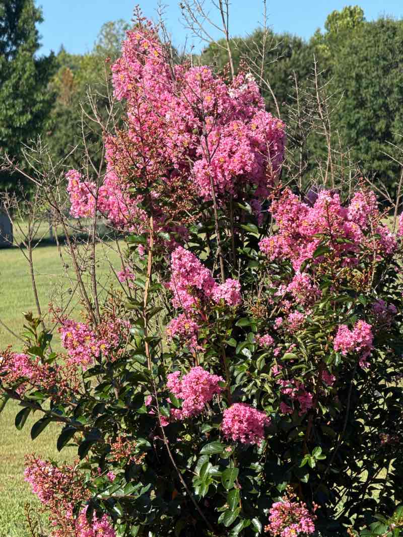 walking near me in Capitol View Park in autumn