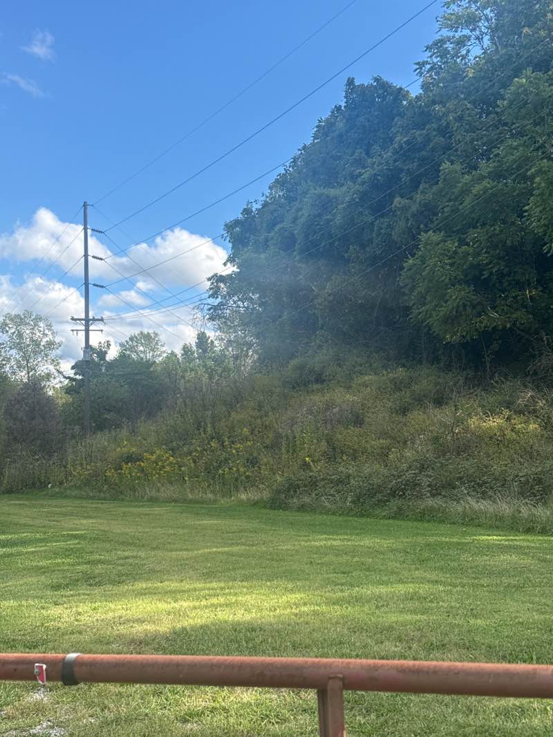 walking near me in Trinity Park in autumn