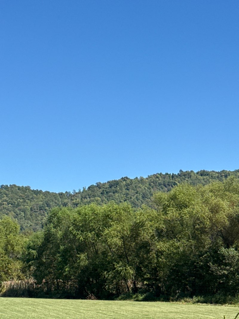 walking near me in Greenlee Park in autumn