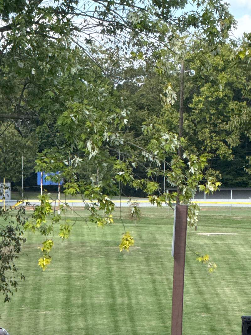 walking near me in Henry Jackson Park in autumn